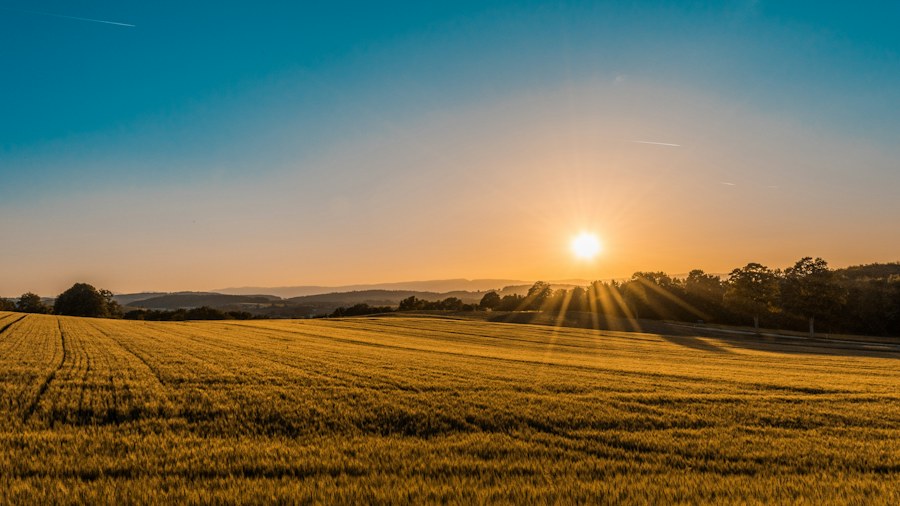 Agriculture and agribusiness